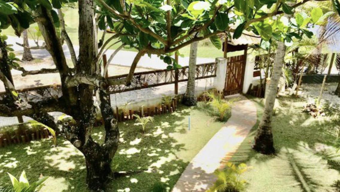 Paradise Beach House Imbassai Buitenkant foto
